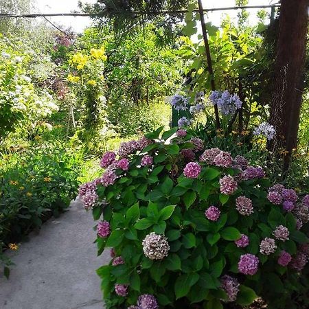 Zeleniy Dvorik Guest House New Athos エクステリア 写真