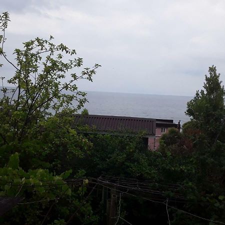 Zeleniy Dvorik Guest House New Athos エクステリア 写真
