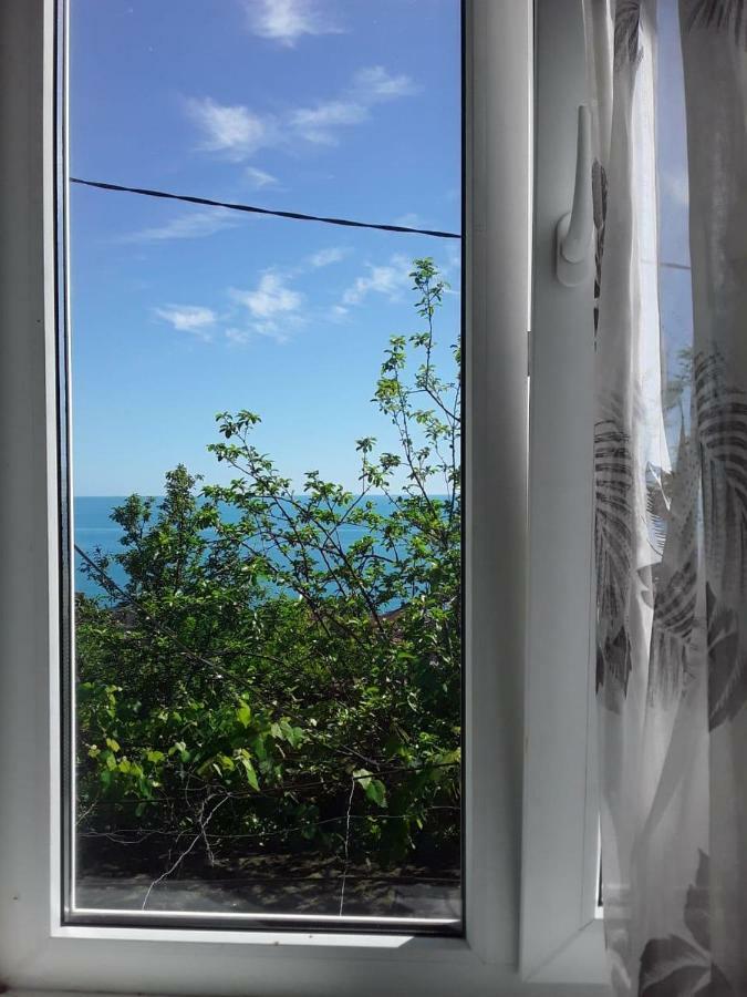 Zeleniy Dvorik Guest House New Athos エクステリア 写真