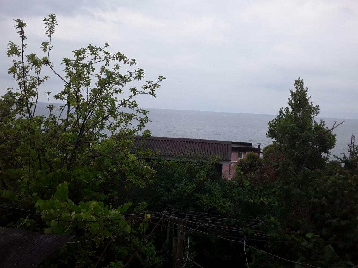 Zeleniy Dvorik Guest House New Athos エクステリア 写真